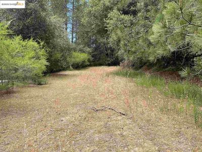 11797 Rambler Rd, Columbia, CA, 95310