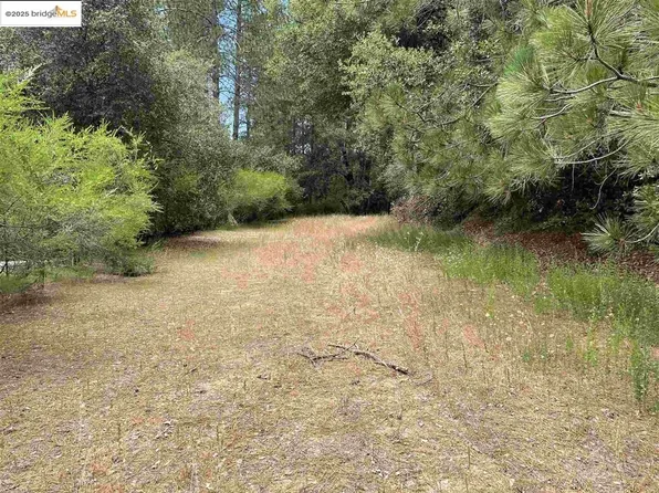 11797 Rambler Rd, Columbia, CA 95310