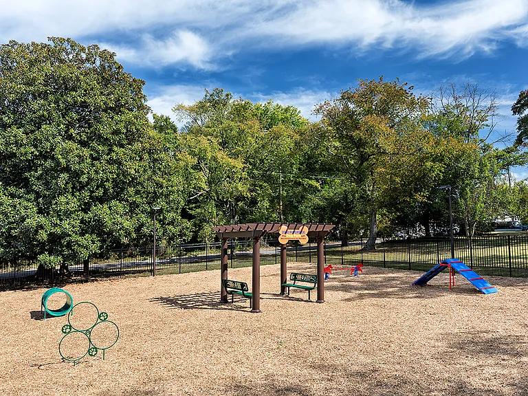 Dog Park