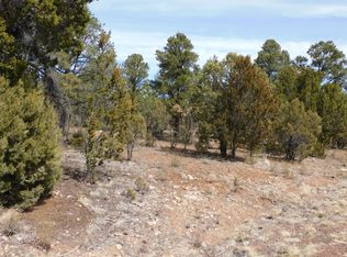 2862 Lodgepole Rd, Overgaard, AZ 85933