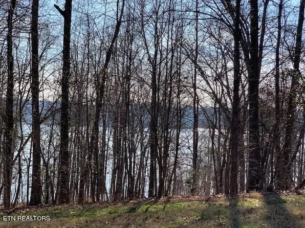 0 E Shore Dr Lot 141, Rockwood, TN 37854