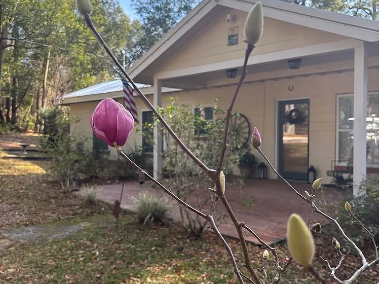 107 Cygnet Ln — Photo 14