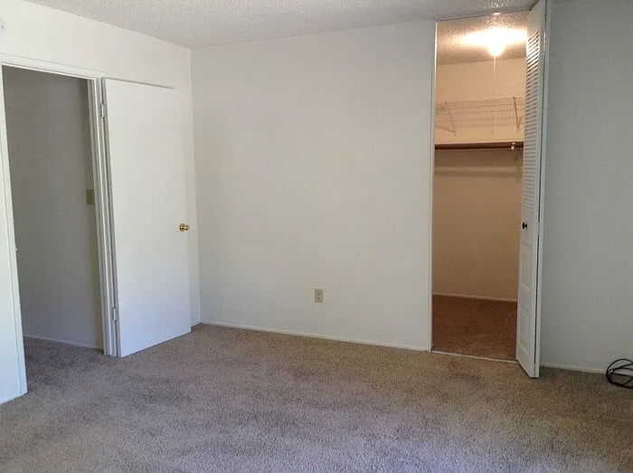 519 Downie St #519 — Photo 3