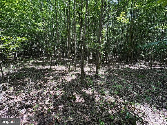 3rd image of Trunk Line Rd
