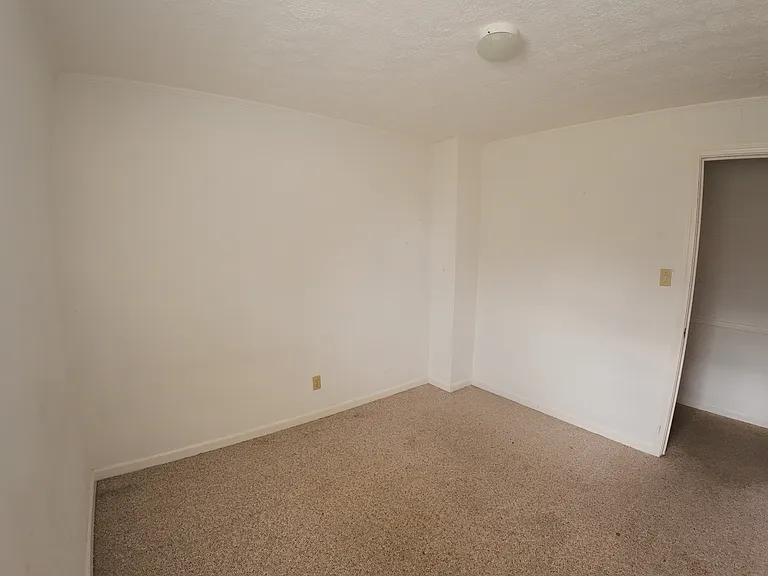 5924 Mimosa Cir — Photo 15