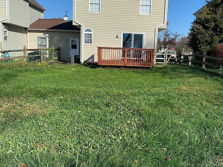 203 Academy Ln — Photo 19