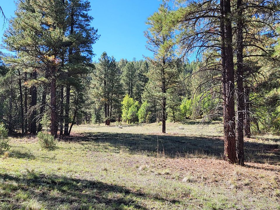 1st image of Sawmill Canyon Rd
