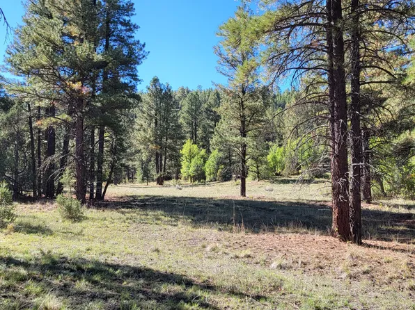 Sawmill Canyon Rd, Ramah, NM 87321