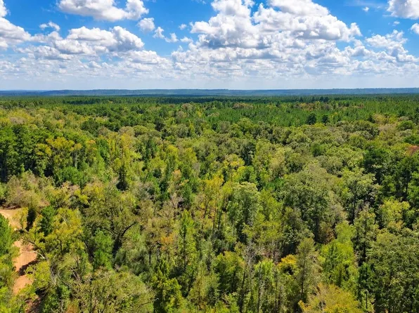 108241000 County Road 2913, Alto, TX 75925