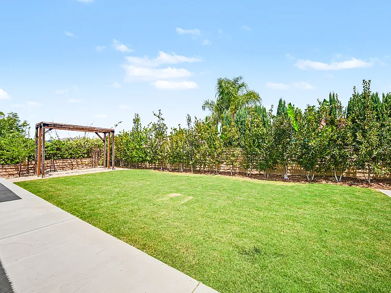 28817 Barragan St — Photo 56