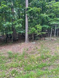 133 Pawnee St #457, Waleska, GA, 30183