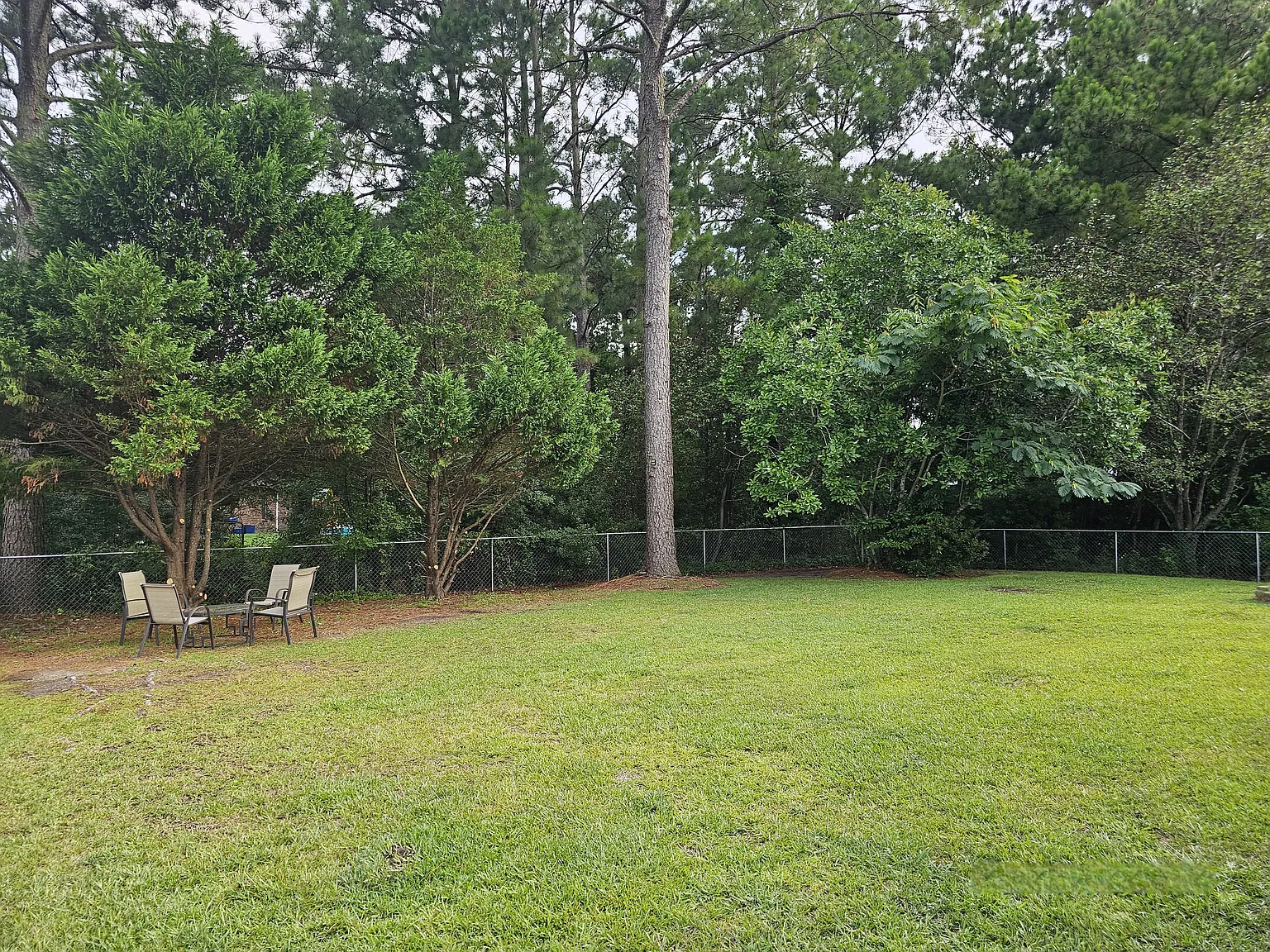 3 bed, 1150 sqft, $1,750 — Photo 4
