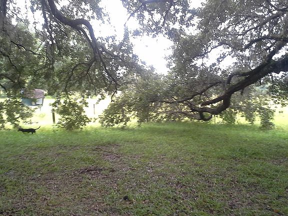 4th image of SE 225th Dr