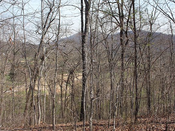 4th image of LOT-83A Licklog Rdg