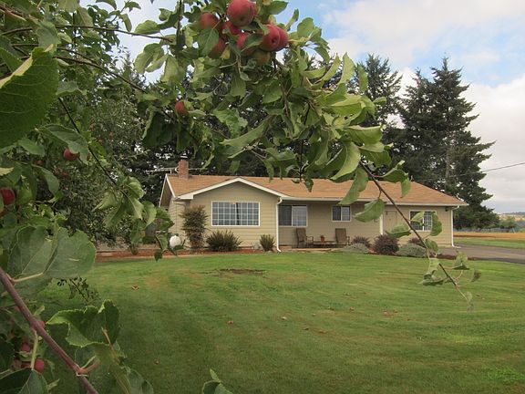 Apple and pear trees