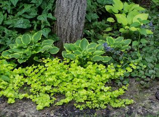 25674 Hamline Ct, Wyoming, MN 55092