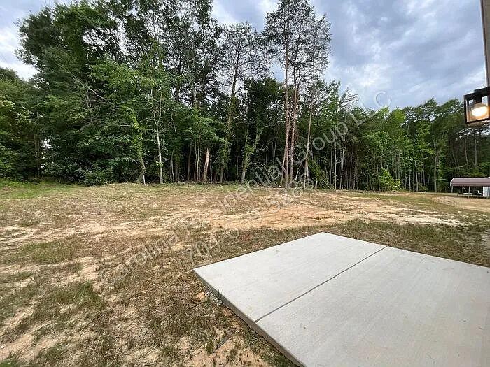 316 Zion Church Rd — Photo 15