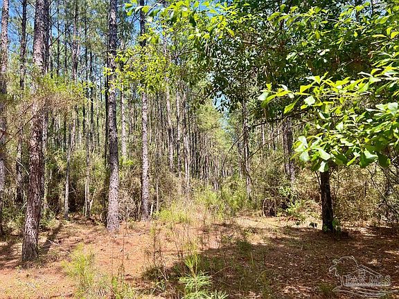 3rd image of LOT 5 Rs Hwy #182