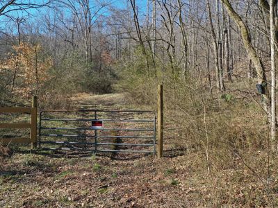 0 Dog Branch Rd, Mount Pleasant, TN, 38474