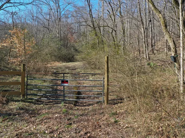 0 Dog Branch Rd, Mount Pleasant, TN 38474