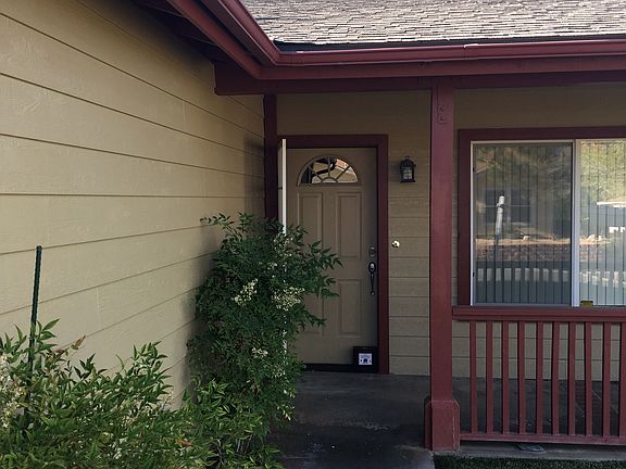 front walkway in summer