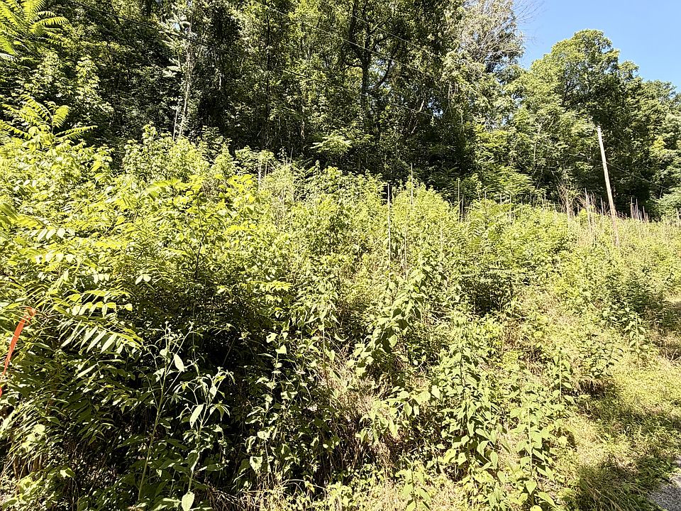 2nd image of 0 Silver Point Rd Lot 22
