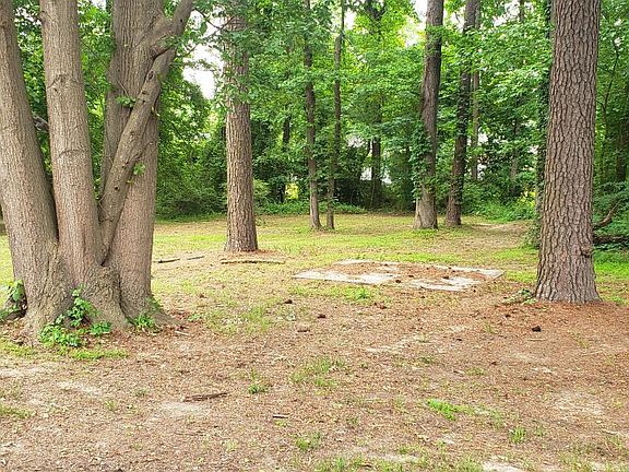 3rd image of 2921 Driftwood Dr