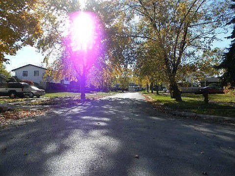 2nd image of 21741 Gailine Ave