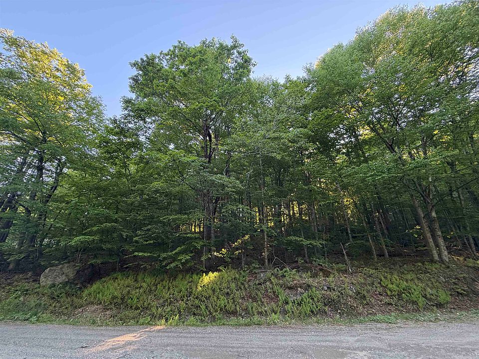 1st image of Scattered Timber Road