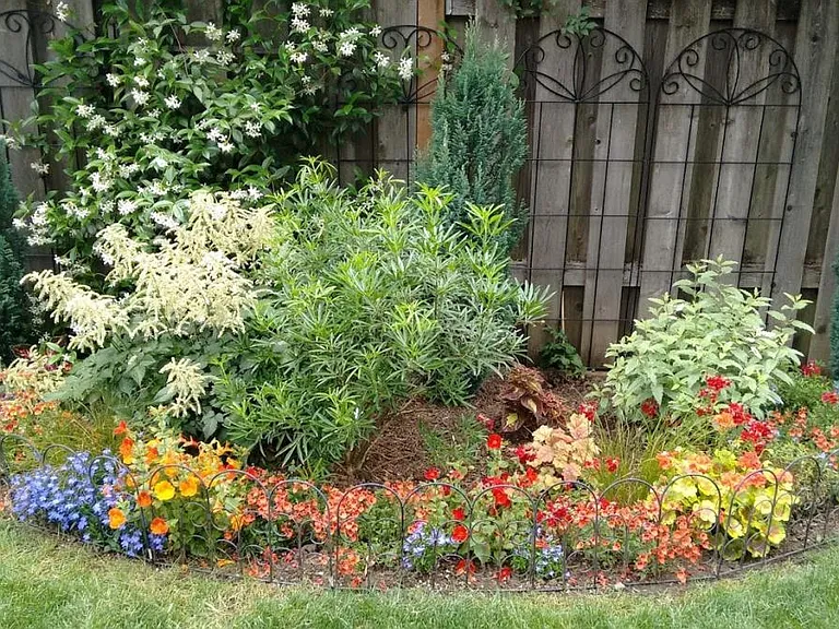 Side Garden