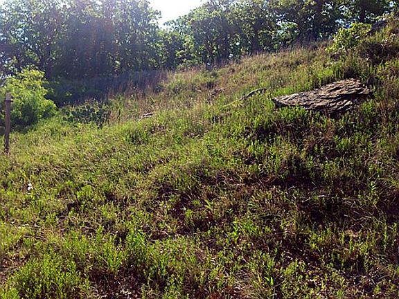 4th image of 170 Cherokee Trl