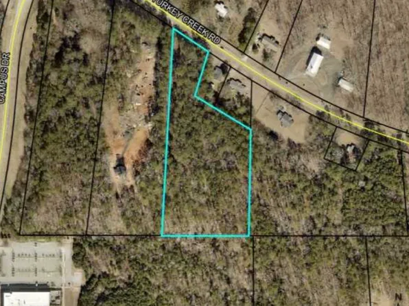 0 Turkey Creek Rd, Newnan, GA 30263