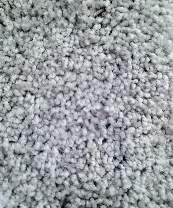 NEW CARPET