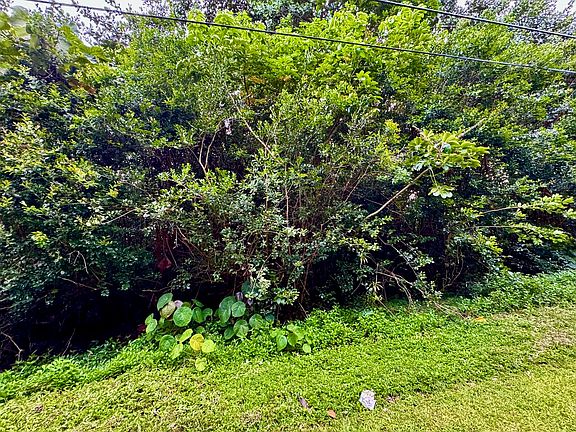3rd image of 15-2688 Papai St Lot 8