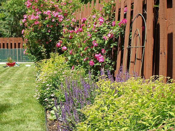 More backyard, more perennials