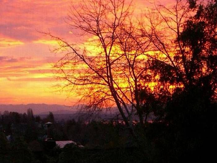 Lake Washington views