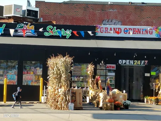 Rented by Citi Habitats | media 11