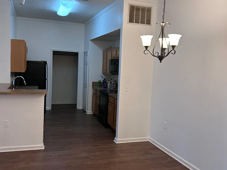 5201 Playpen Dr #8-4 — Photo 11