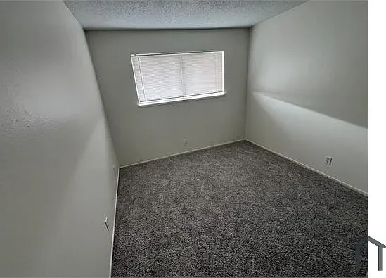 100 Clearland Dr — Photo 7