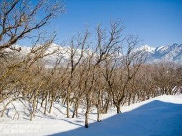 6342 W Adonis Dr, Highland, UT 84003