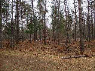 W North Down River Rd, Grayling, MI 49738