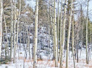 0 Brook Dr, Lake George, CO 80827