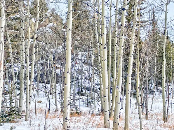0 Brook Drive, Lake George, CO 80827
