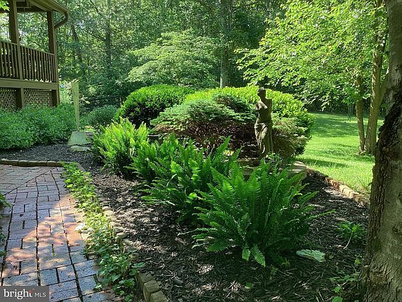 5th image of 10418 Cliff Mills Rd