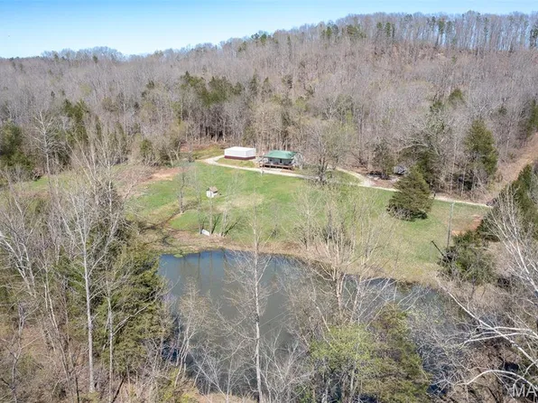 1443 Madison St #443, Annapolis, MO 63620