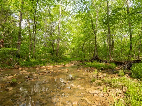 123 Bush Dr, Zalma, MO 63787