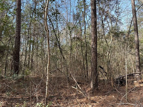 2nd image of 0B Browns Bridge Rd