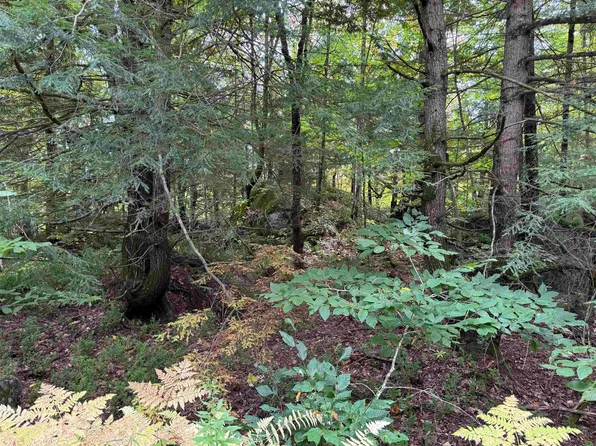 16-75 Ravenhead Lane, Hillsborough, NH 03244