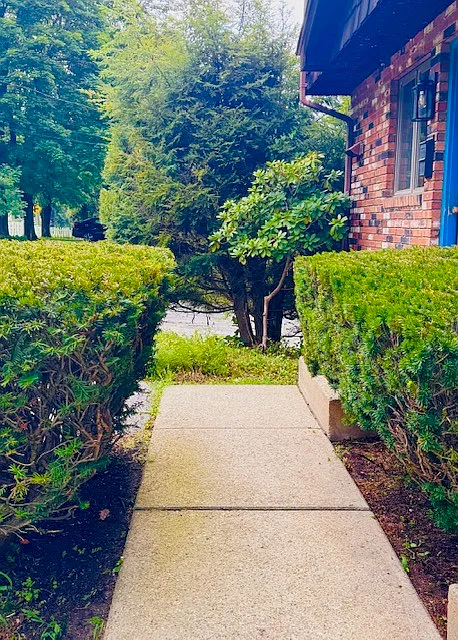2 bed, 1.5 bath, 1000 sqft, $2,250 — Photo 3