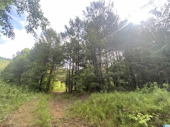 Bull Hollow Rd, Gallant, AL 35972